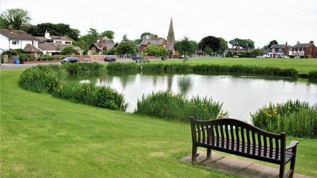 Bench near pond in a park with houses and a church in the background.