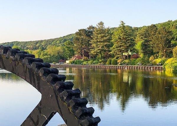 Water wheel overlooking a lake with trees in the background.