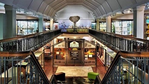 Interior view of a museum with a staircase and display cases.