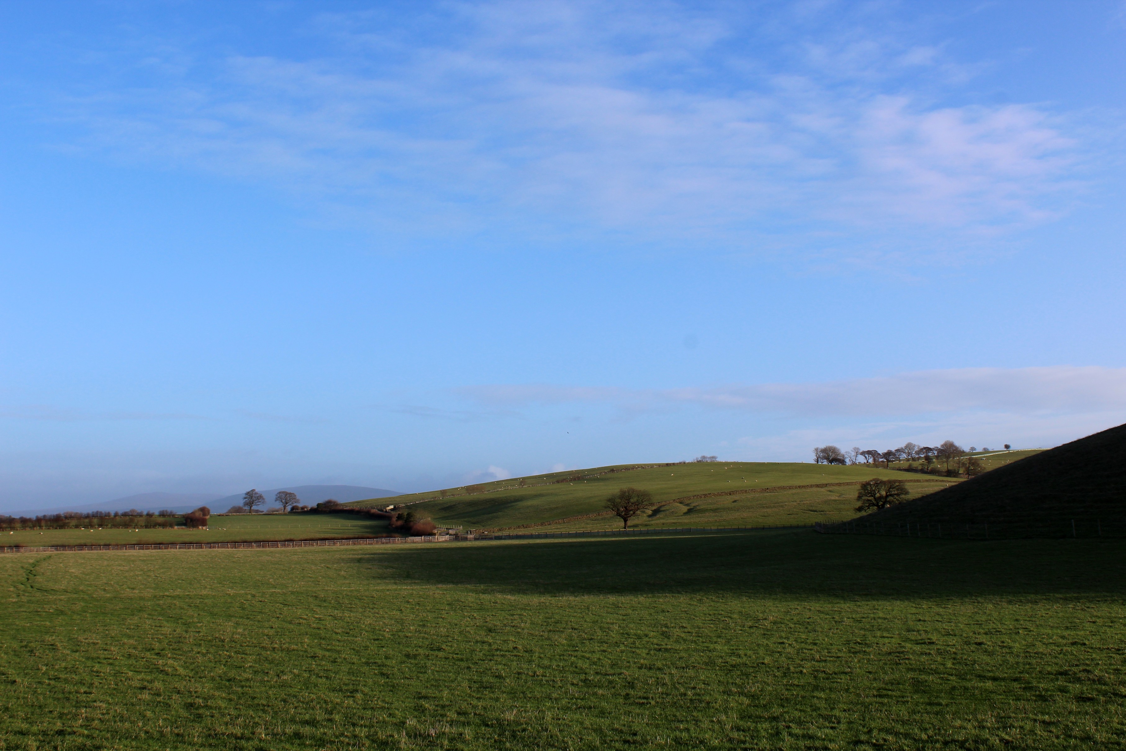 Green fields, trees, and a blue sky.
