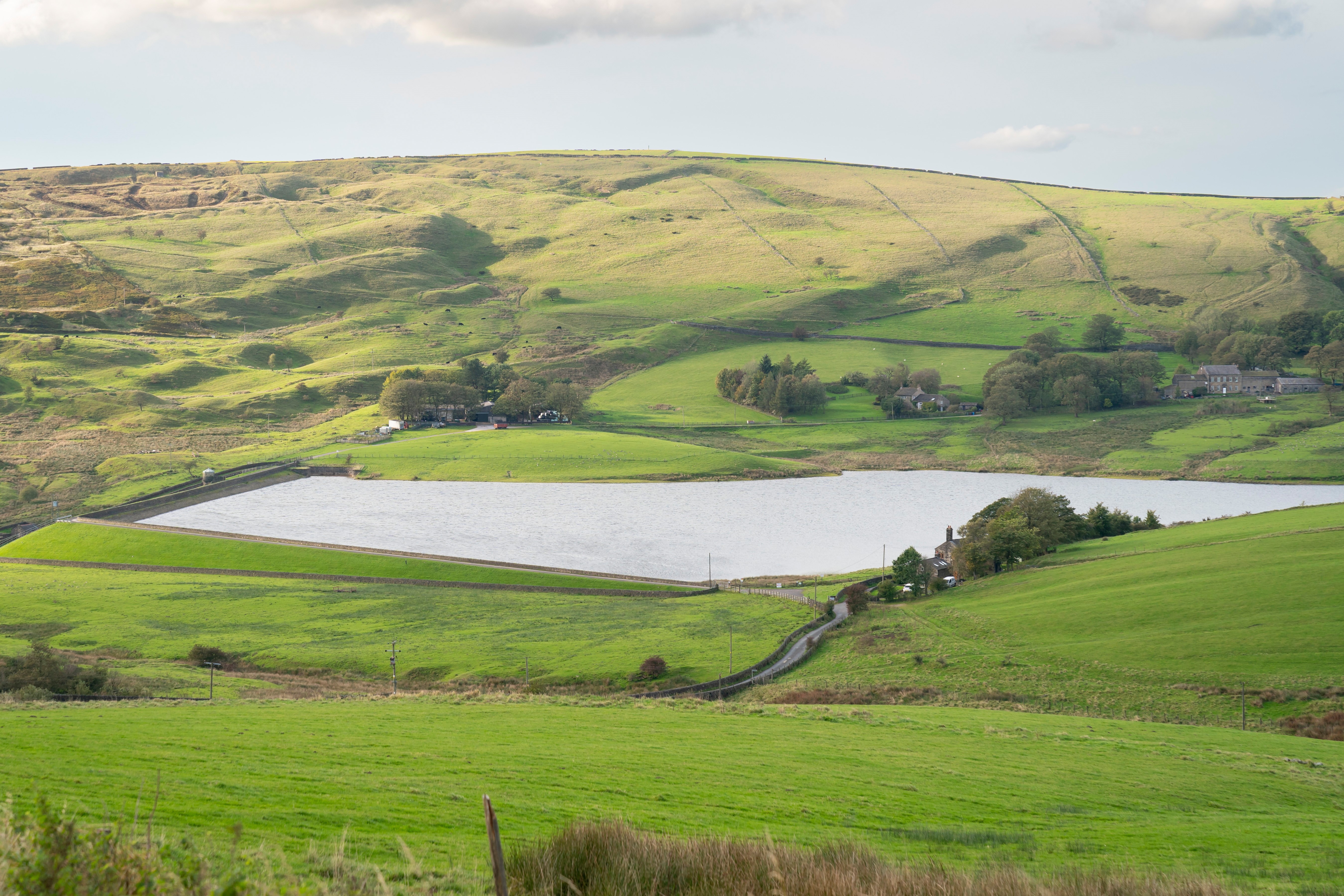 Rolling green hills and a lake.
